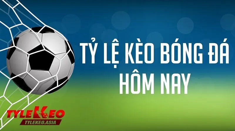 Trang chủ Không nên chạy theo tâm lý của đám đông