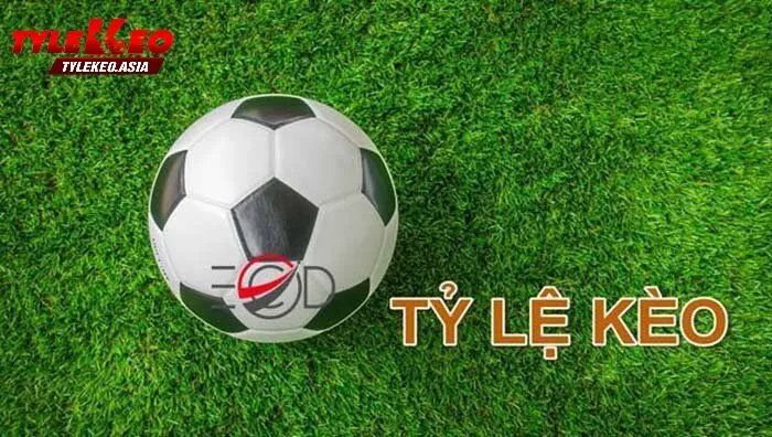 Giới Thiệu Giới Thiệu Tỷ lệ kèo Là Gì? Những Điều Cơ Bản Cần Biết